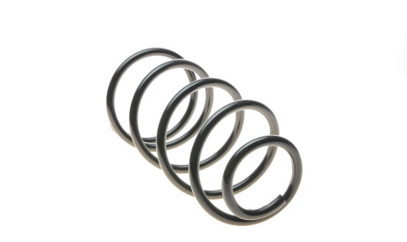 Фото 3 - Пружина підвіски Solgy 212049