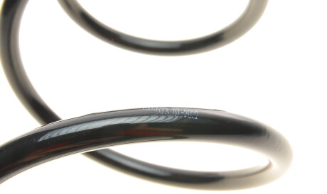 Фото 2 - Пружина підвіски Solgy 212073