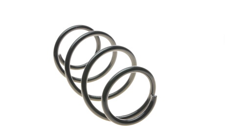 Фото 3 - Пружина підвіски Solgy 212073