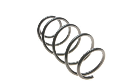 Фото 5 - Пружина подвески Solgy 212095