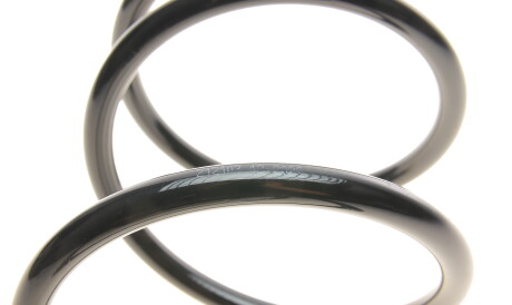 Фото 2 - Пружина підвіски Solgy 212103