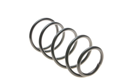 Фото 3 - Пружина підвіски Solgy 212103