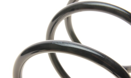 Фото 2 - Пружина підвіски Solgy 212104