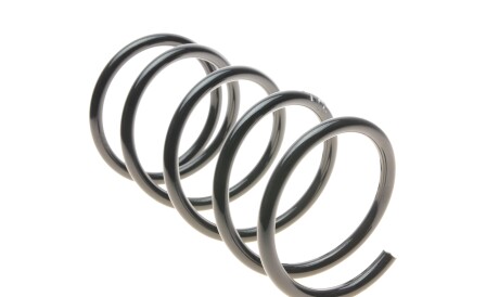 Фото 3 - Пружина підвіски Solgy 212104