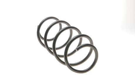 Фото 2 - Пружина підвіски Solgy 212110