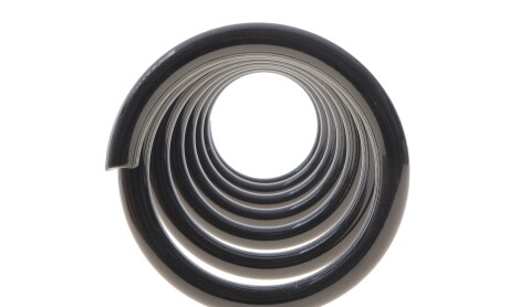 Фото 4 - Пружина підвіски Solgy 212126