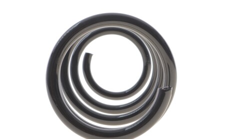 Фото 5 - Пружина підвіски Solgy 212132