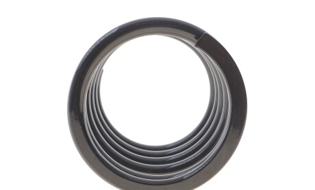 Фото 5 - Пружина підвіски Solgy 212134