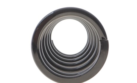 Фото 4 - Пружина підвіски Solgy 212135