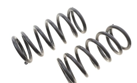 Пружина (задня) Hyundai Santa Fe I 2.0CRDi 4x4/2.4 16V 4x4/2.7 4x4/2.7 V6 4x4 01-06 - Solgy 212135