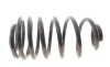 Пружина підвіски Solgy 212138 - зображення 1