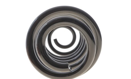 Фото 4 - Пружина подвески Solgy 212138