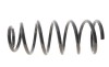 Пружина підвіски Solgy 212141 - зображення 1