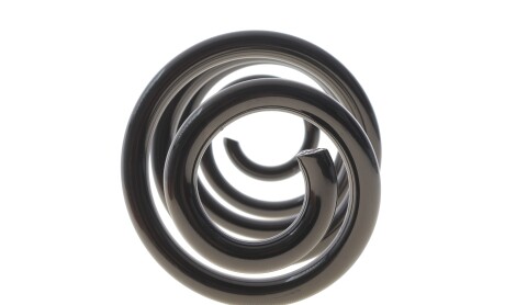 Фото 4 - Пружина підвіски Solgy 212147