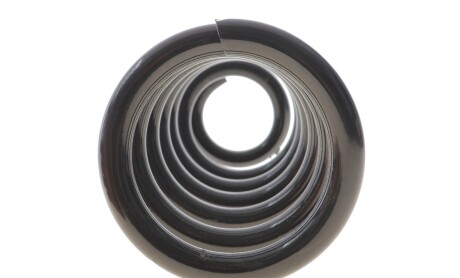 Фото 3 - Пружина підвіски Solgy 212152