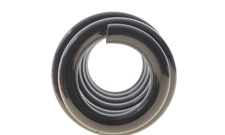 Фото 4 - Пружина підвіски Solgy 212152