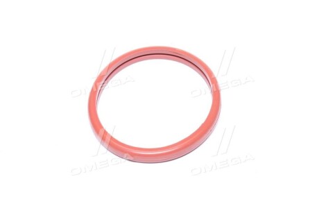 Фото 4 - Прокладка термостату SSANGYONG 6012030076