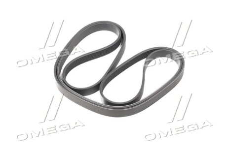 Фото 3 - Ремінь приводний SSANGYONG 6659970392