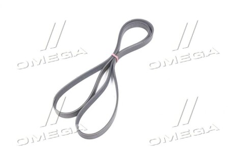 Фото 2 - Ремінь приводний SSANGYONG 6719970192