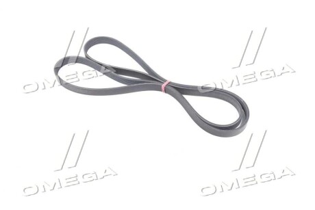 Фото 3 - Ремінь приводний SSANGYONG 6719970192