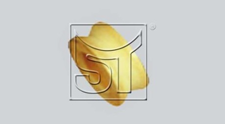 Ущільнювальне кільце - ST-TEMPLIN 04.120.1863.000