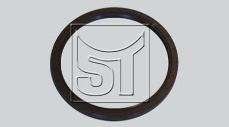 Ущільнювальне кільце вала - ST-TEMPLIN 11.060.1909.570