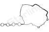 Ущільнення, кришка голівки циліндра - ((55354237, 5607980)) STARLINE GA 2066 (фото 1)