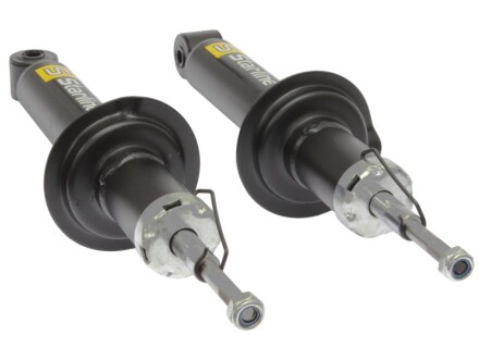 Фото 2 - Стійка амортизатору (амортизатор) STARLINE TL C00270.2 (TLC002702)