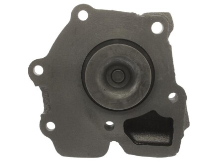 Фото 3 - Водяний насос STARLINE VP F141 (VPF141)