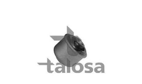 Suspension Bush - TALOSA 57-06027