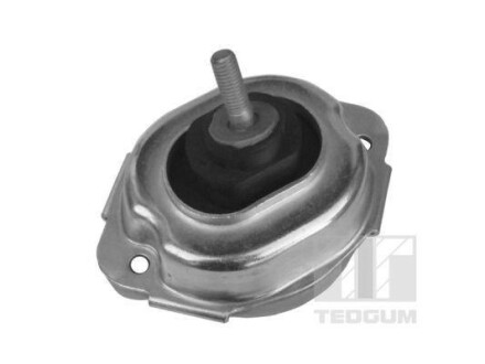 Подушка двигуна Лів BMW X3 - TEDGUM 00088547