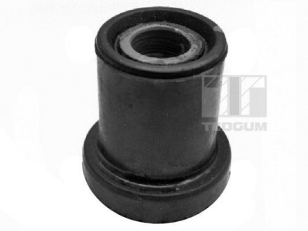 Фото 3 - Рессора TEDGUM 00220335