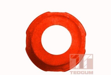 Фото 2 - Ресора TEDGUM 00447345