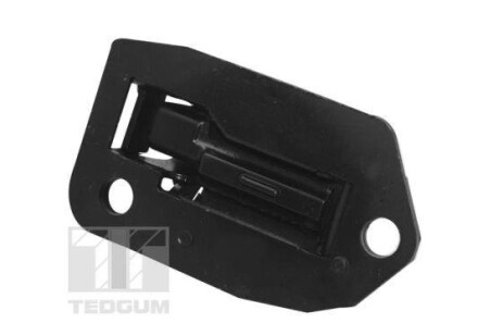 Фото 2 - Подушка двигуна TEDGUM 00748055