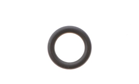 Ущільнювальне кільце для шлангів до LP R134A - TEXA 4800441