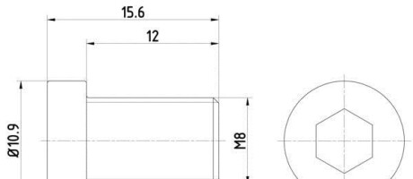 Болт, диск тормозного механизма - TEXTAR TPM0009