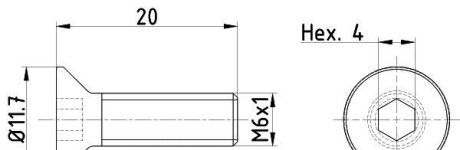 Sruba tarczy hamulcowej m6x1 /2szt/ - TEXTAR TPM0015