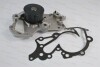 Водяна помпа - ((251003E001, 251003E000)) THERMOTEC D10528TT (фото 1)
