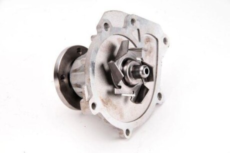 Фото 2 - Водяной насос THERMOTEC D12034TT