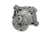 Водяна помпа - ((1740085830)) THERMOTEC D18010TT (фото 1)
