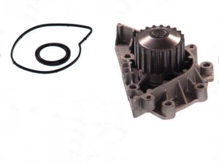 Водяна помпа - THERMOTEC D1P042TT