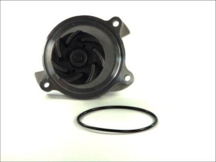 Фото 2 - Водяний насос THERMOTEC D1W018TT