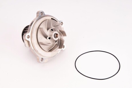 Водяной насос - ((5066809AA, 5066809AB)) THERMOTEC D1Y073TT