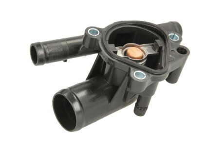 Фото 2 - Термостат системы охлаждения THERMOTEC D21003TT