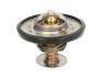 Термостат - THERMOTEC D2CA001TT (фото 1)