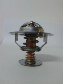 Термостат охлаждающей жидкости - THERMOTEC D2CA002TT