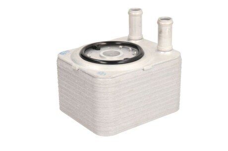 Фото 2 - Масляний радіатор THERMOTEC D4A005TT