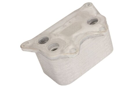 Фото 2 - Масляний радіатор THERMOTEC D4A006TT