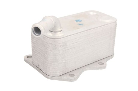 Фото 2 - Масляный радиатор THERMOTEC D4A007TT