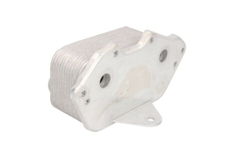 Фото 2 - Масляний радіатор THERMOTEC D4A008TT